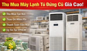 Những Loại Máy Lạnh Cũ Nào Được Thu Mua Với Giá Cao?